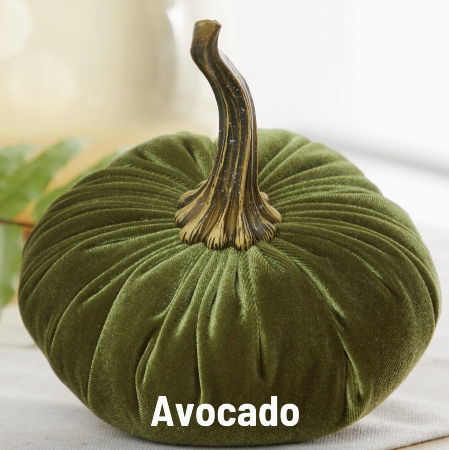 Velvet Pumpkin | Avocado