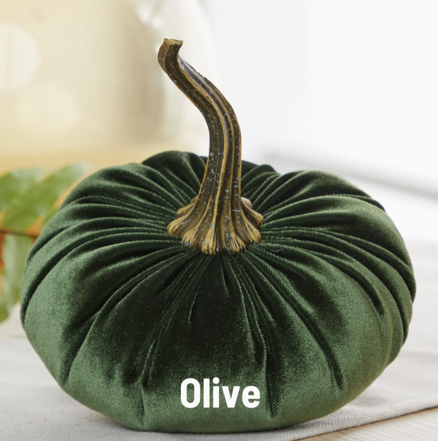 Velvet Pumpkin | Olive