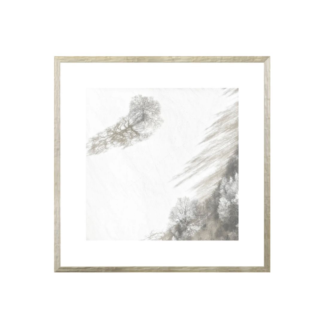 Aerial Winter Trees