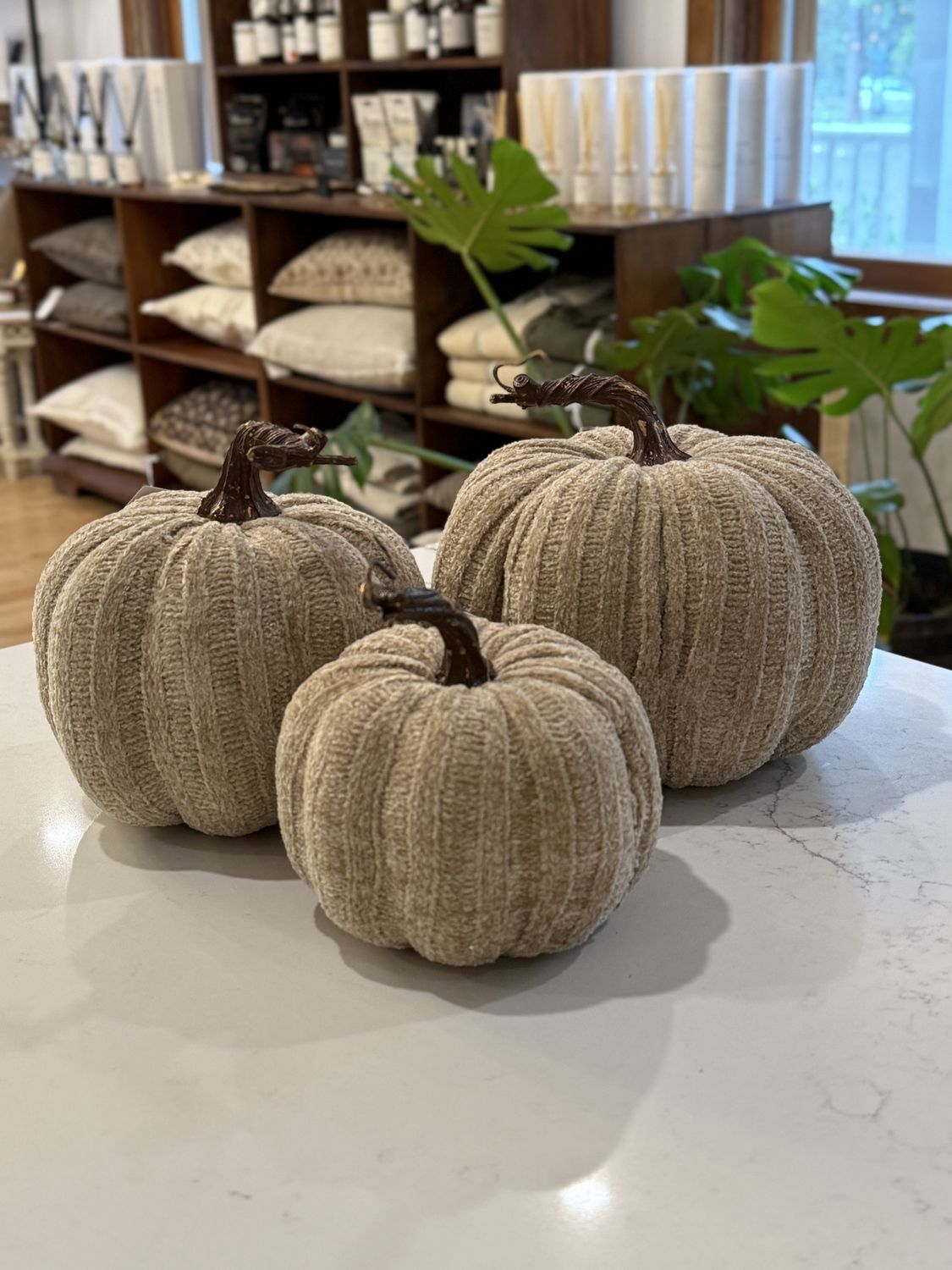 Taupe Fall Pumpkin | Large