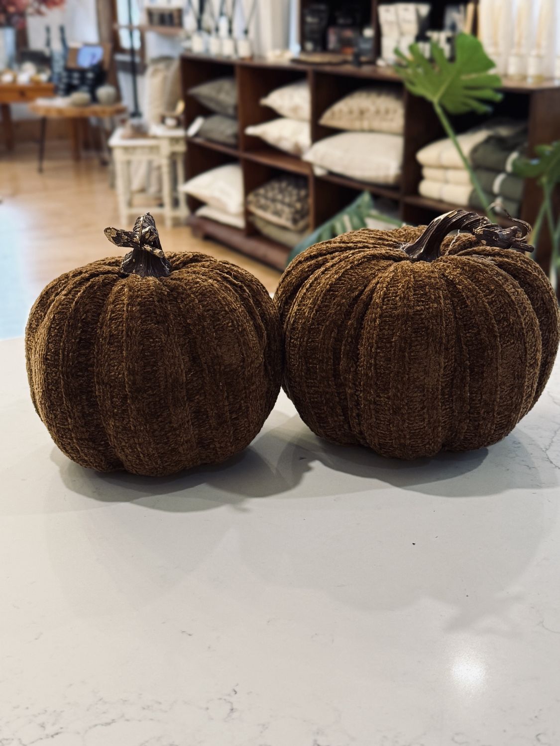 Brown Fall Pumpkin | Medium