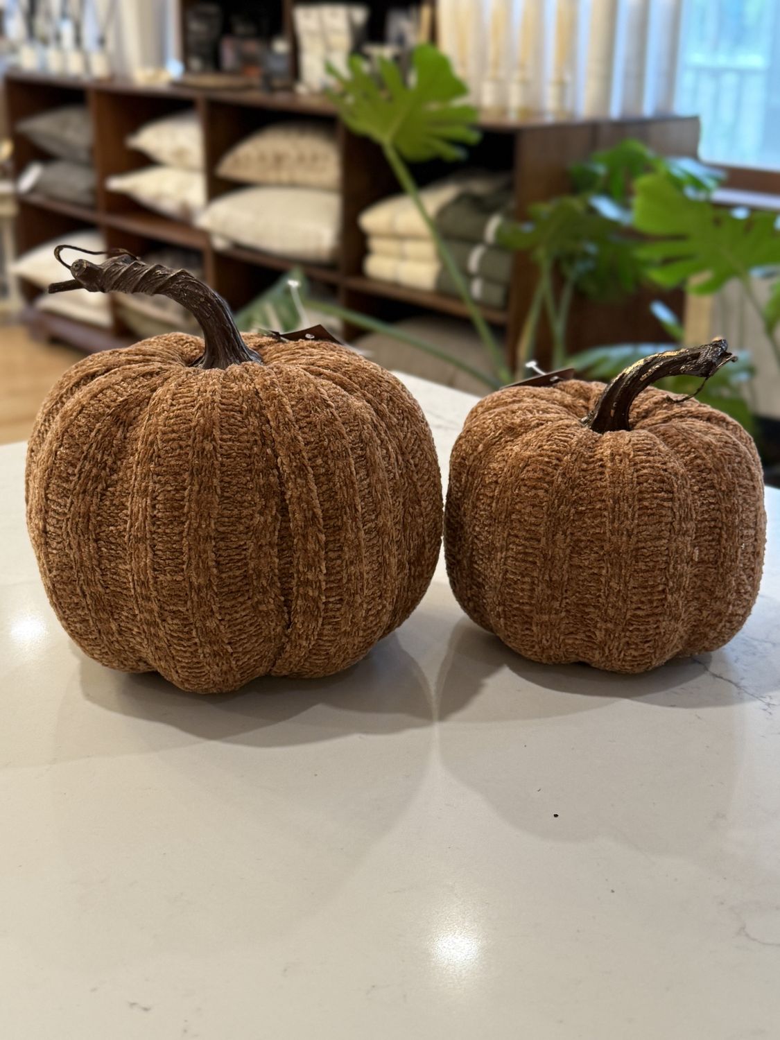 Rust Fall Pumpkin | Small