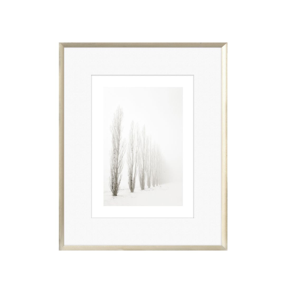 Winter Trees Art