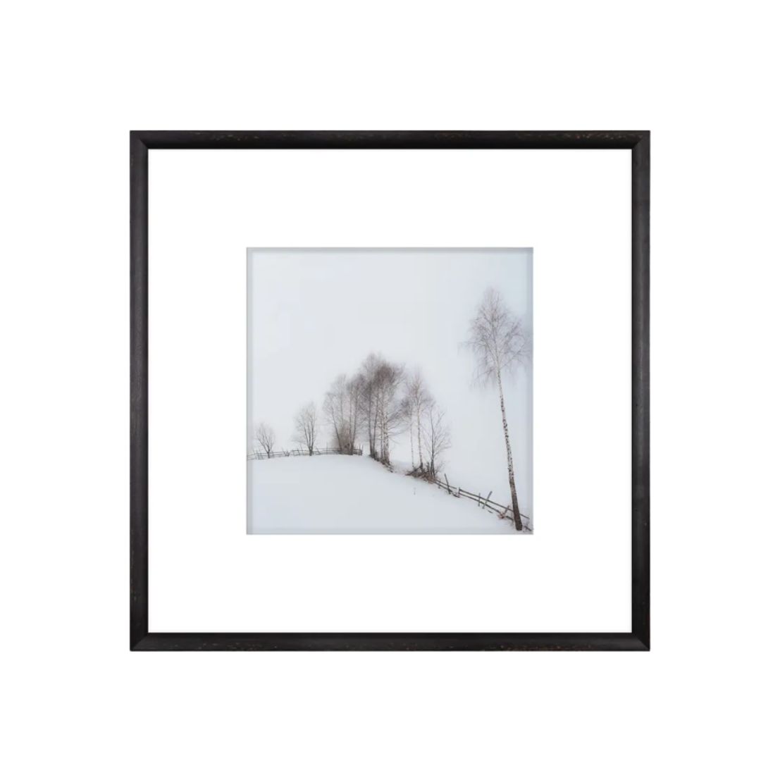 Winter Birch Trees Art