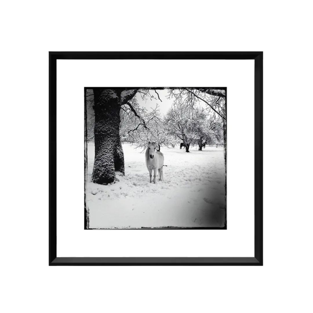 Winterscapes Art | 4 Styles, Style: White Horse