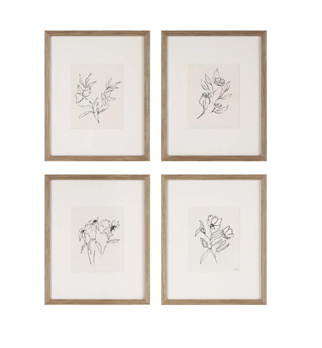 Botanical Line Art