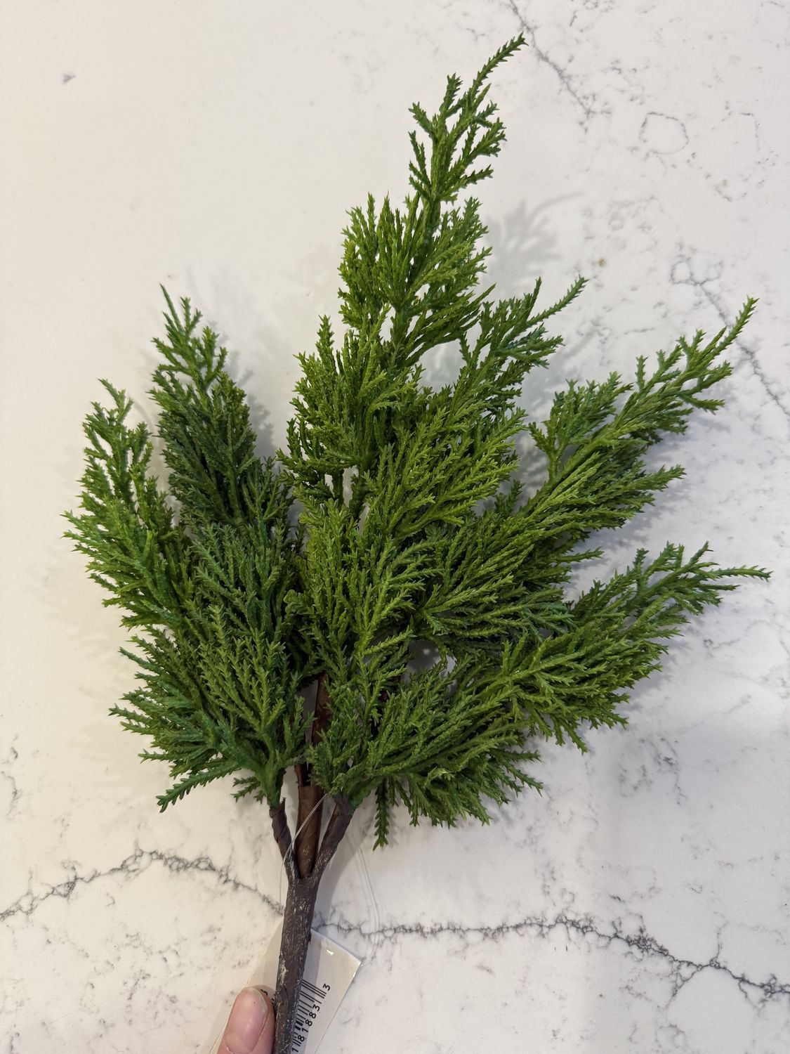 Real Touch Juniper Stem