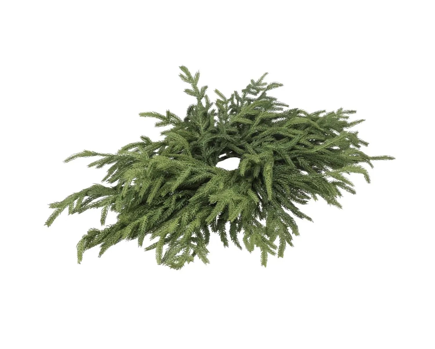 Real Touch Norfolk Pine Centrepiece | 24&quot;