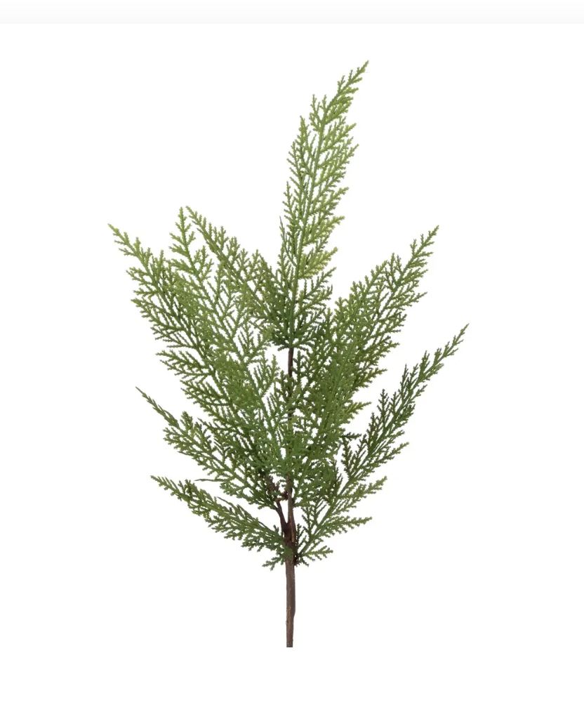 Cedar Spray | 24&quot;