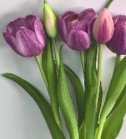 Real Touch Late Tulip Bundle | Light Plum