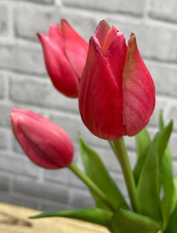 Real Touch Wild Tulip Bundle | Rose