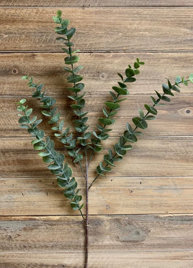 Green Eucalyptus Spray | 28"