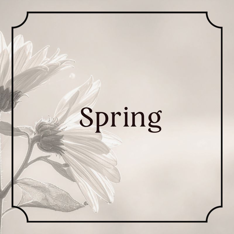 - Spring -