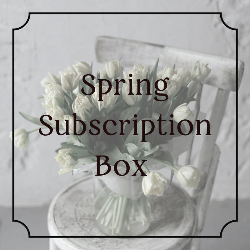 Spring Subscription Box