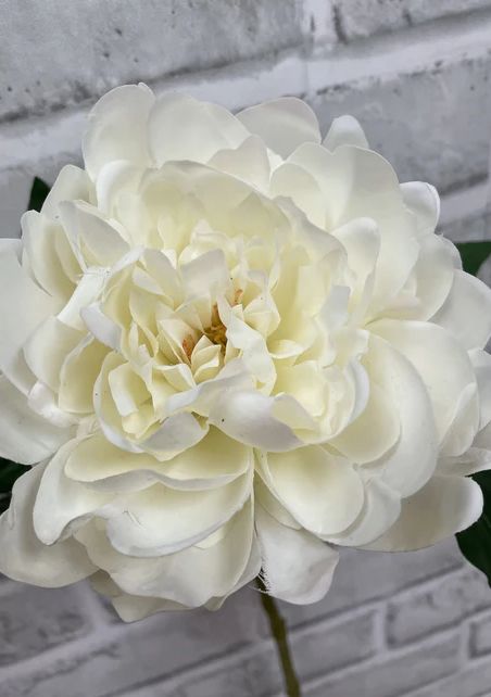 Cream Fresh Touch Peony Stem, Colour: Cream