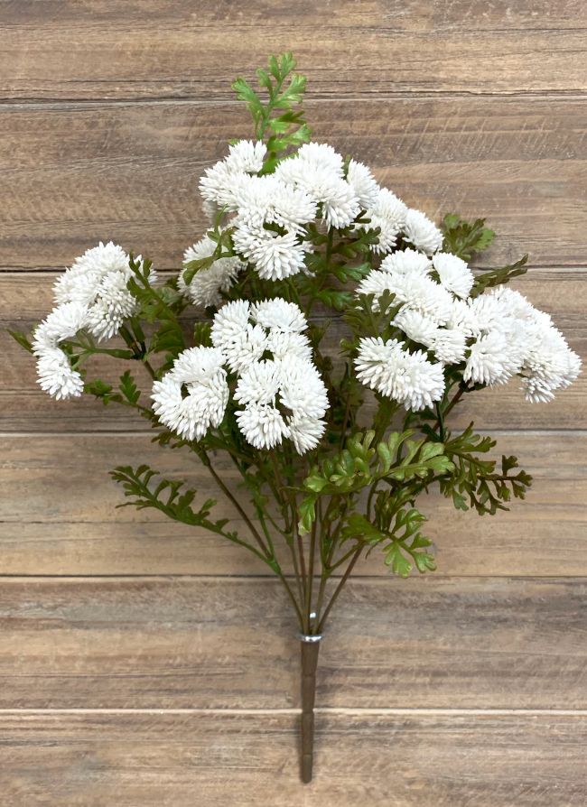 Fresh Touch Sedum Cluster | White