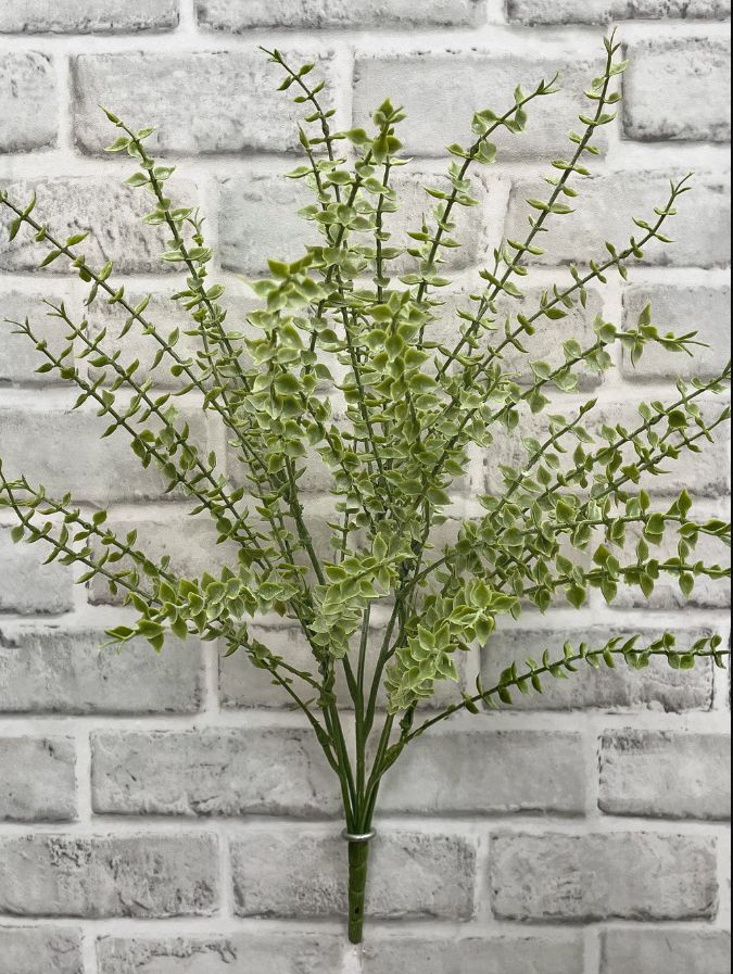 Mini Eucalyptus Bush | 20"