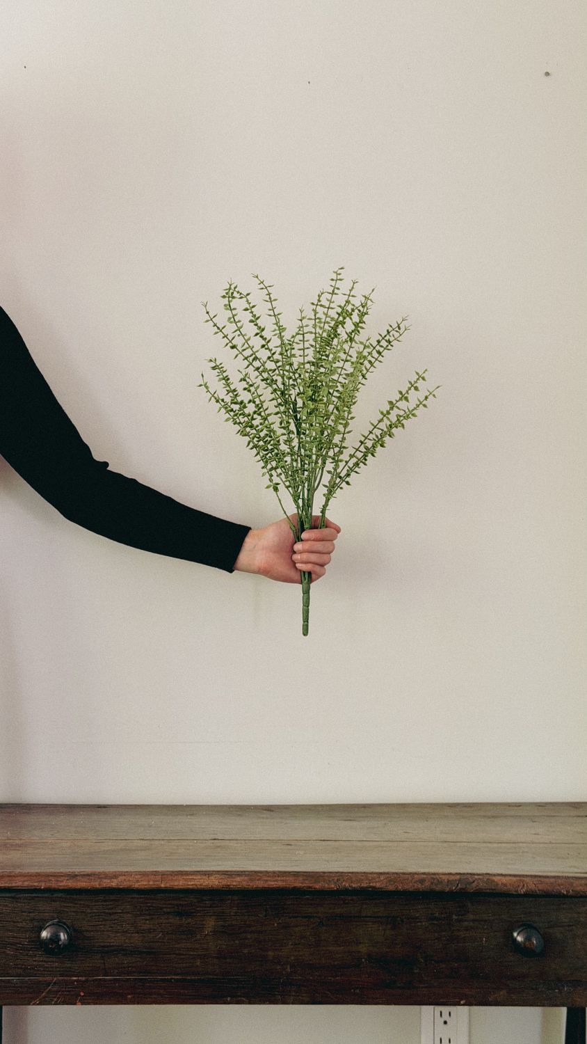 Mini Eucalyptus Bush | 20"