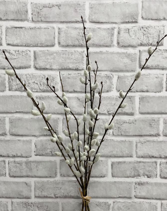 PY Willow Bundle | 21.5"