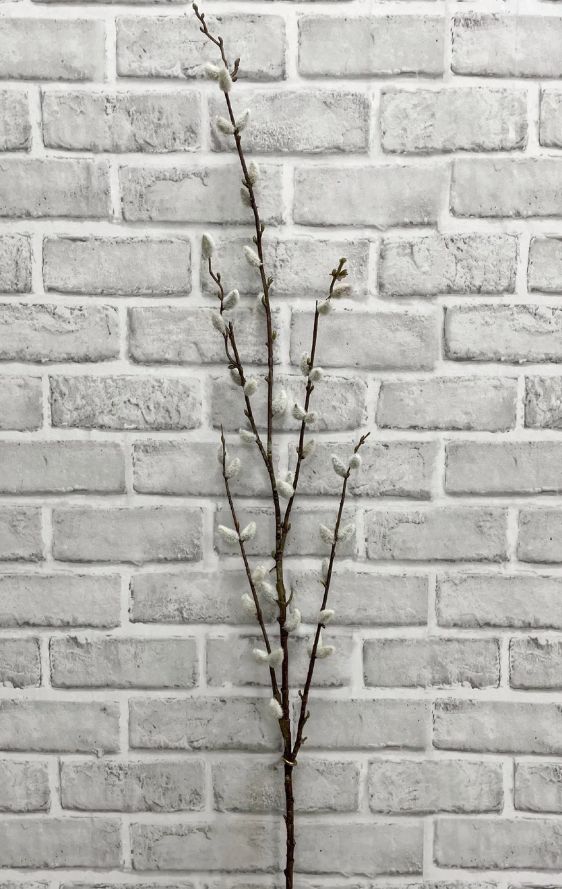 PY Willow Spray | 46"