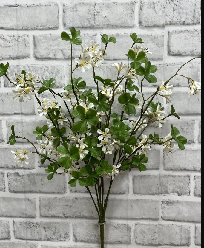 White Olive Blossom Bush | 21"