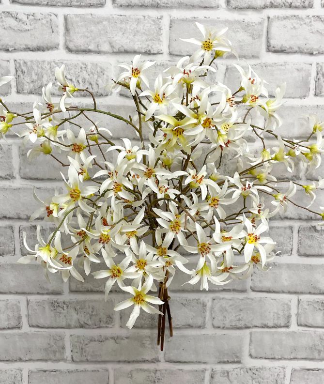 White Forsythia Bundle | 21"