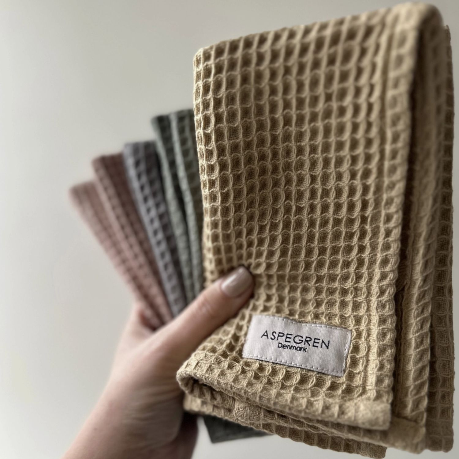 Aspegren Dishcloth Set of 2 | Khaki
