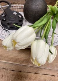 Real Touch Tulip Bundle | White 18"