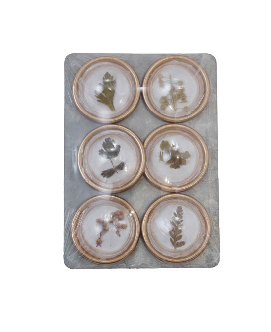 Metal Magnets with Dried Leaves | Set of 6