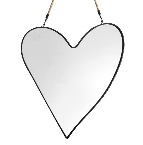 Heart Mirror