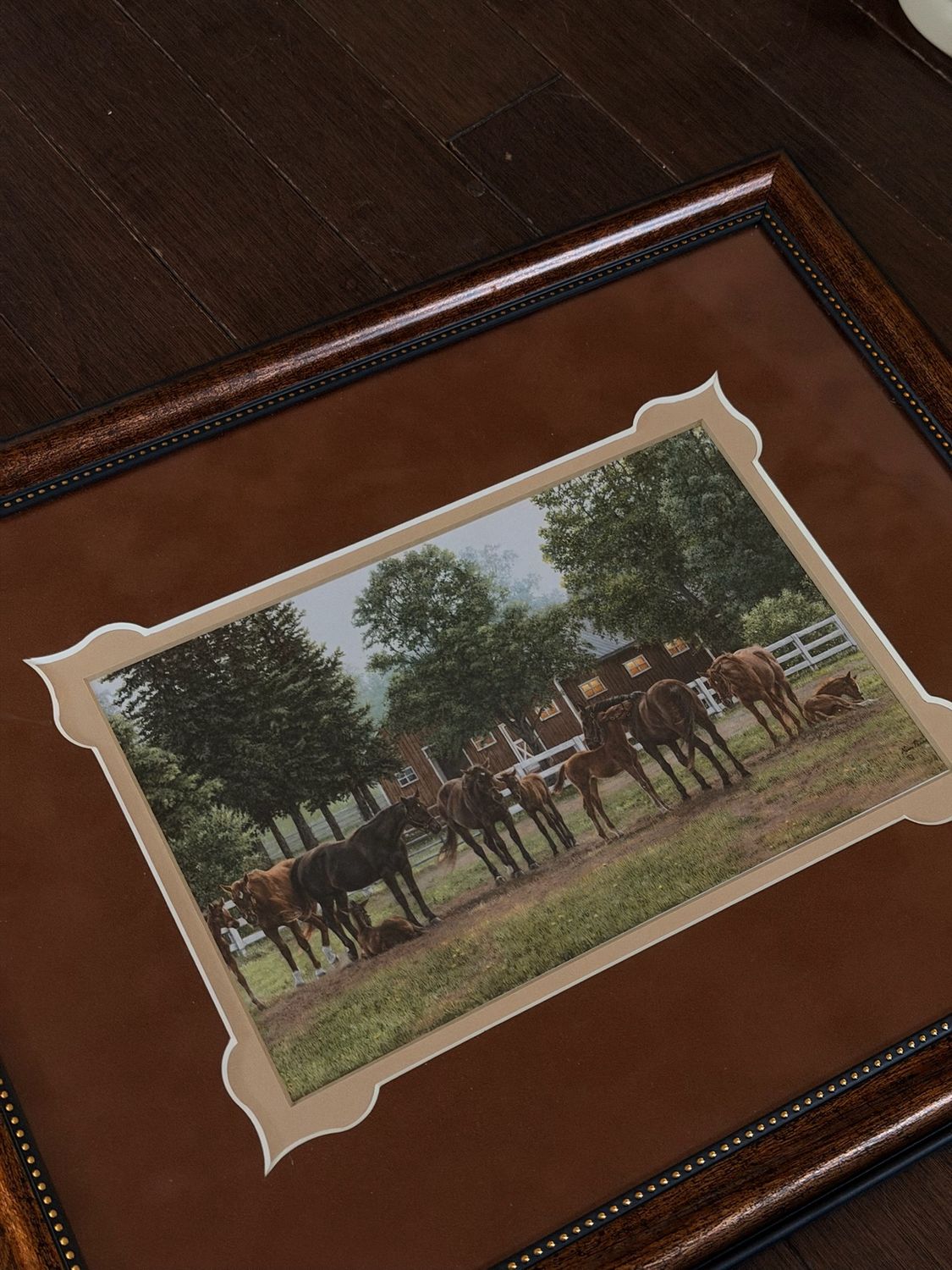 Framed Horse Painting