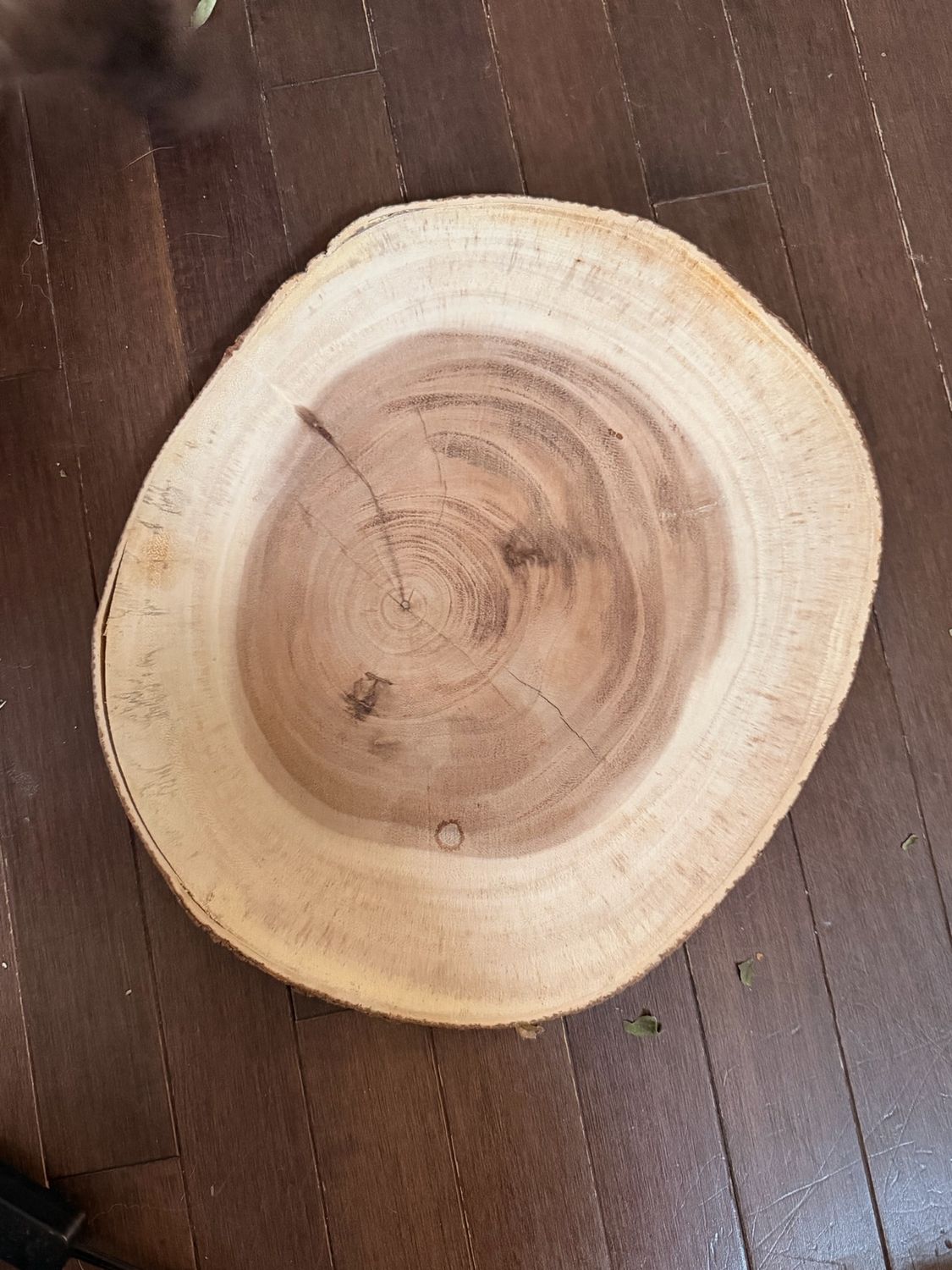 Live Edge Table Piece