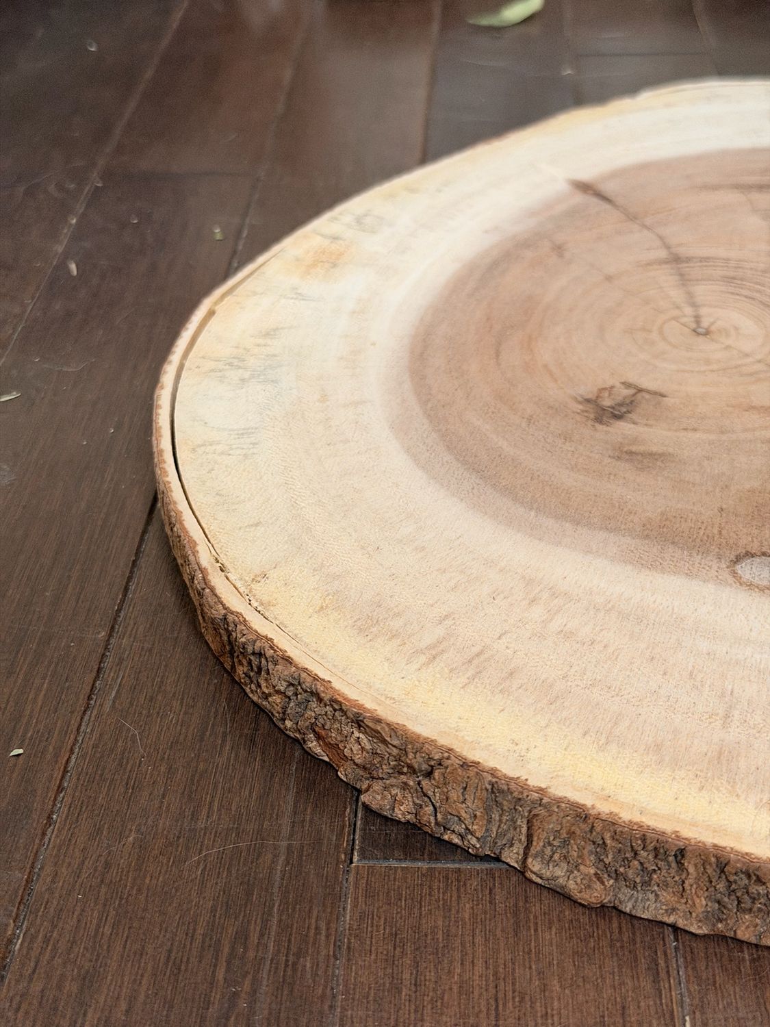 Live Edge Table Piece
