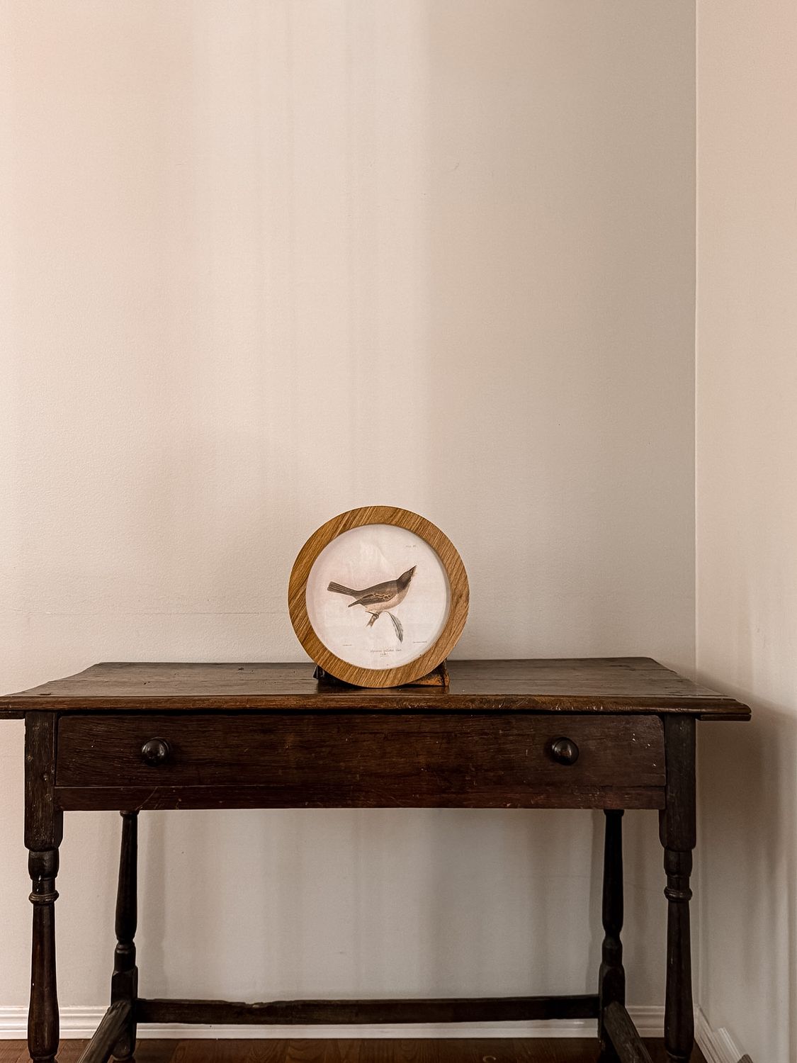 Circle Bird Art