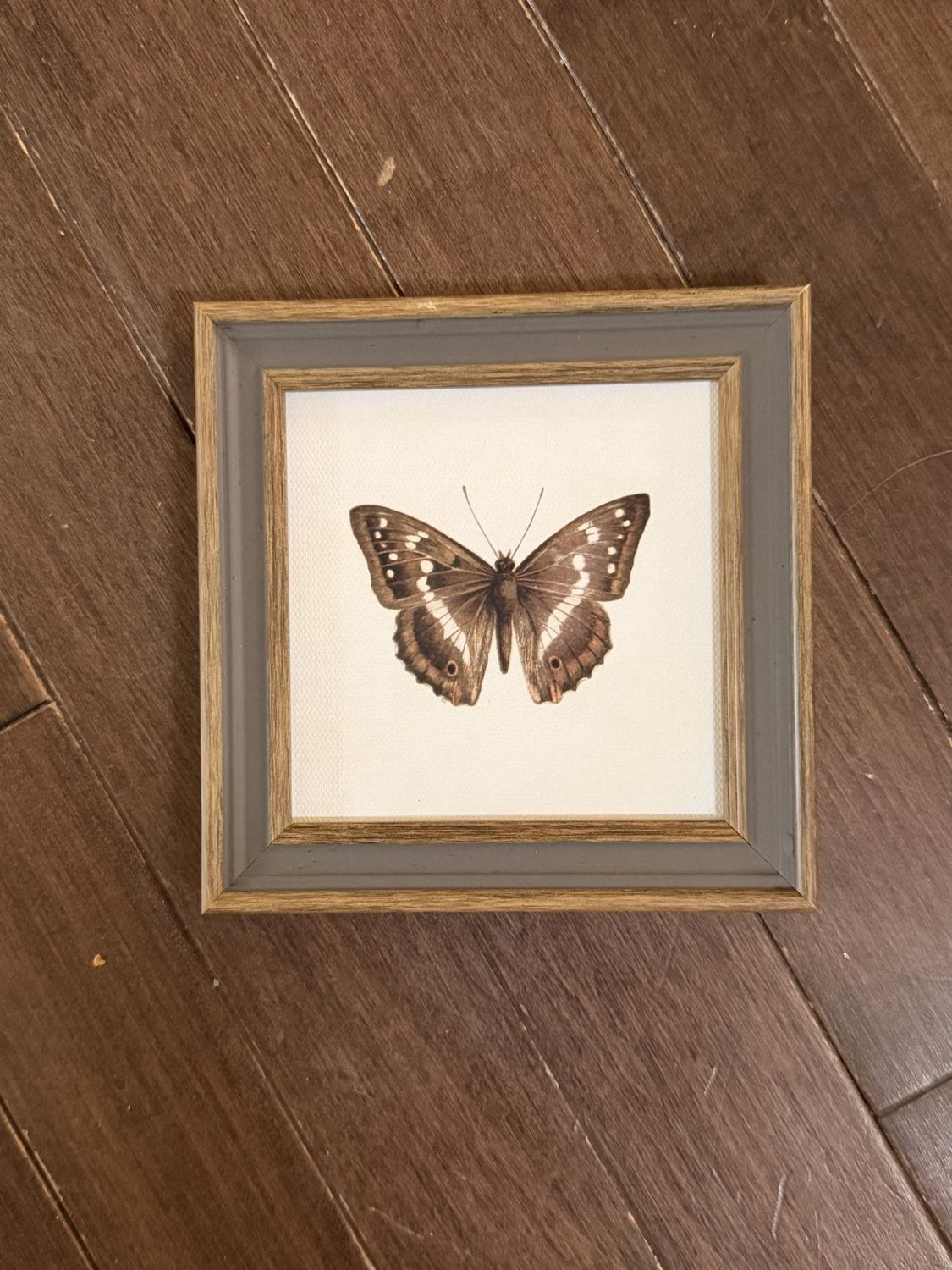 Butterfly Art