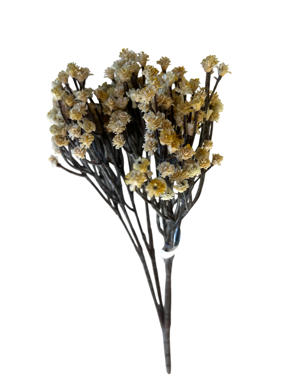 Gypsophila Bush Cream | 16"