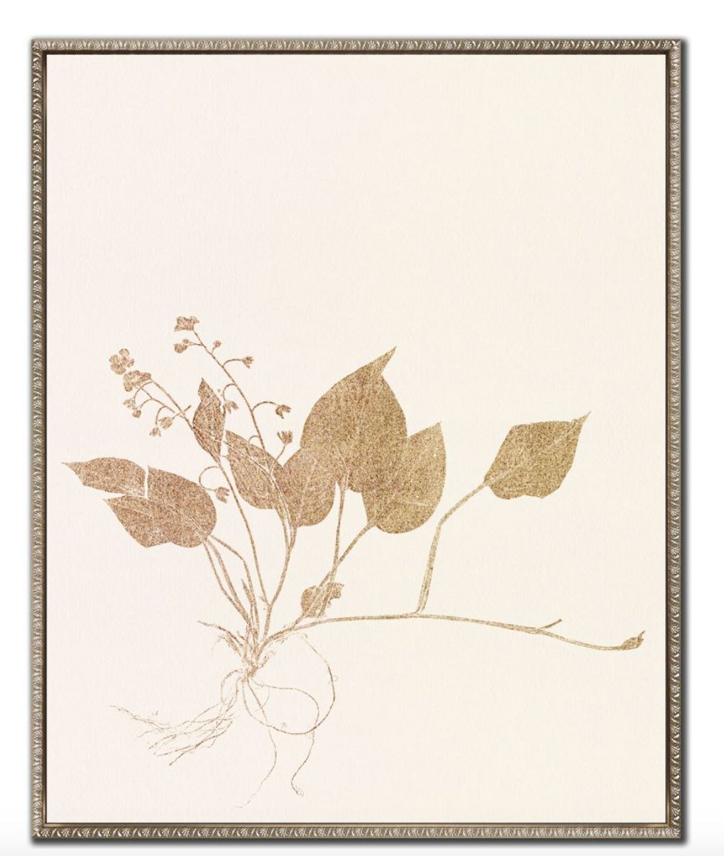 Floral Trace III | Artwork