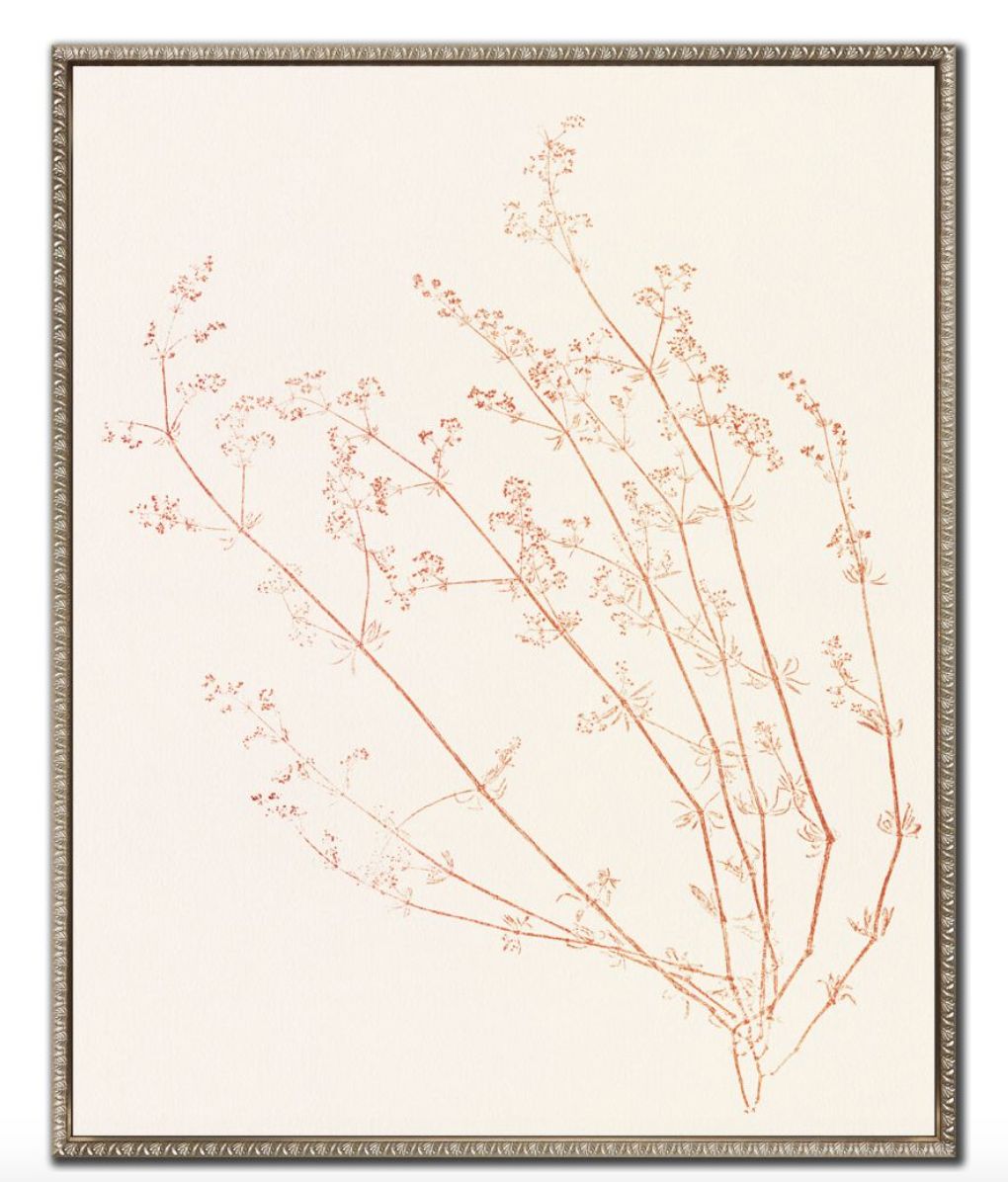 Floral Trace VI | Art