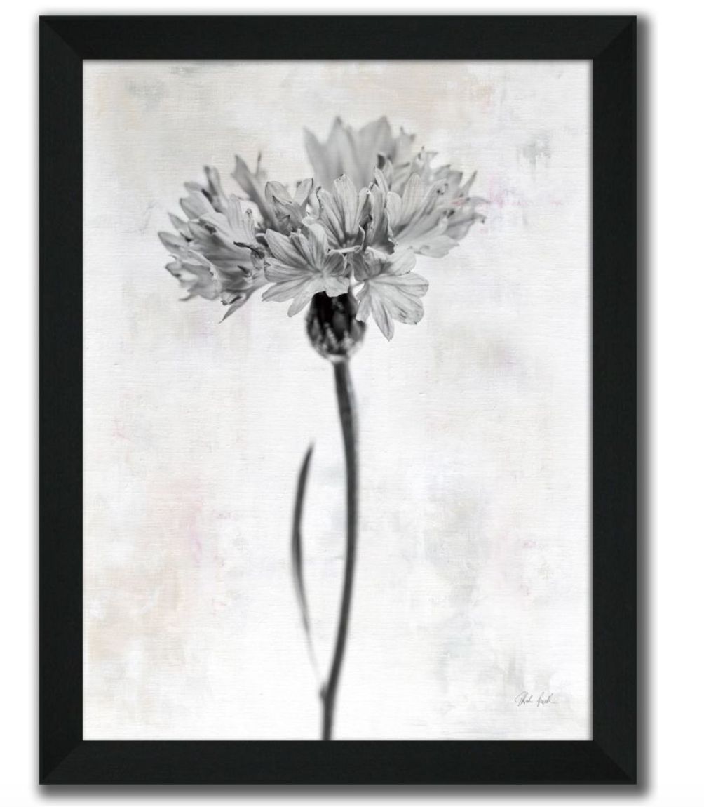 Wonderful Wildflowers VI Neutral | Art