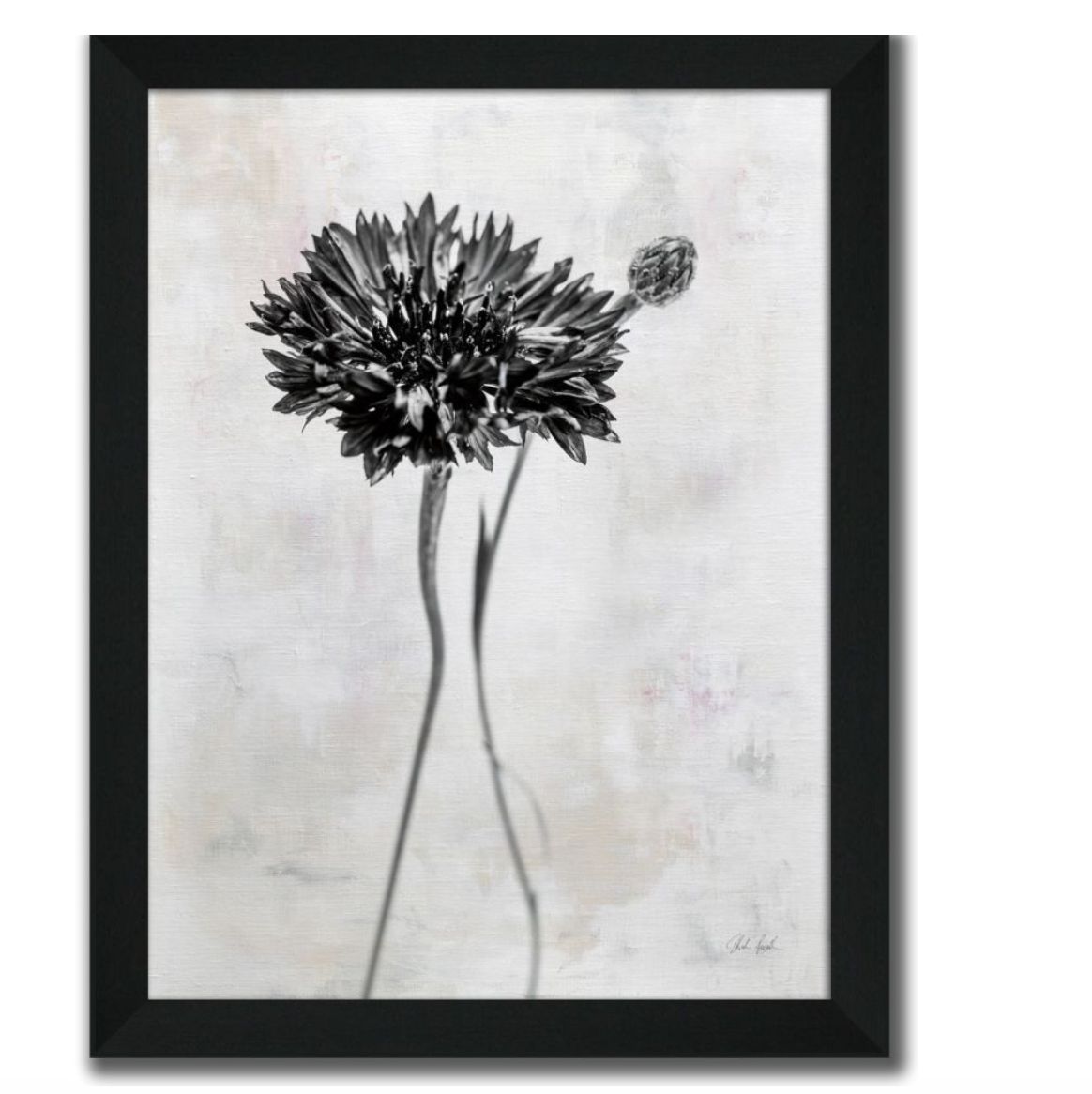 Wonderful Wildflowers VII Neutral | Art