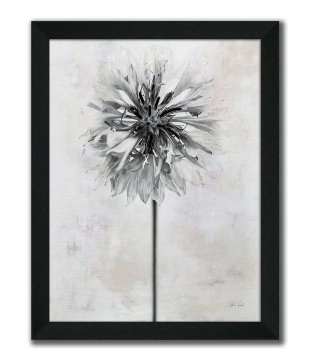 Wonderful Wildflowers X Neutral | Art