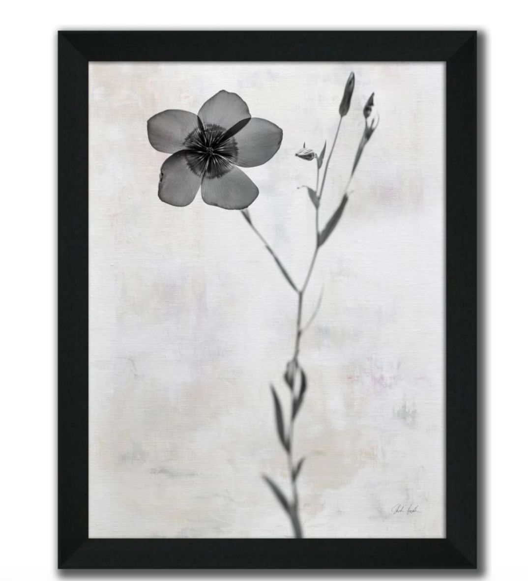 Wonderful Wildflowers XIV Neutral | Art