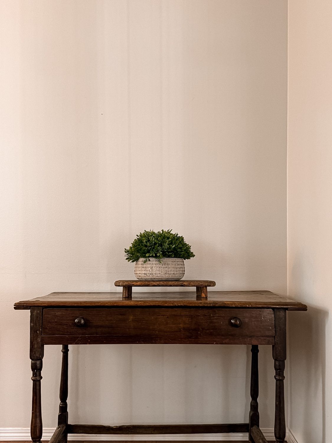 Boxwood in Cement Pot | 8"