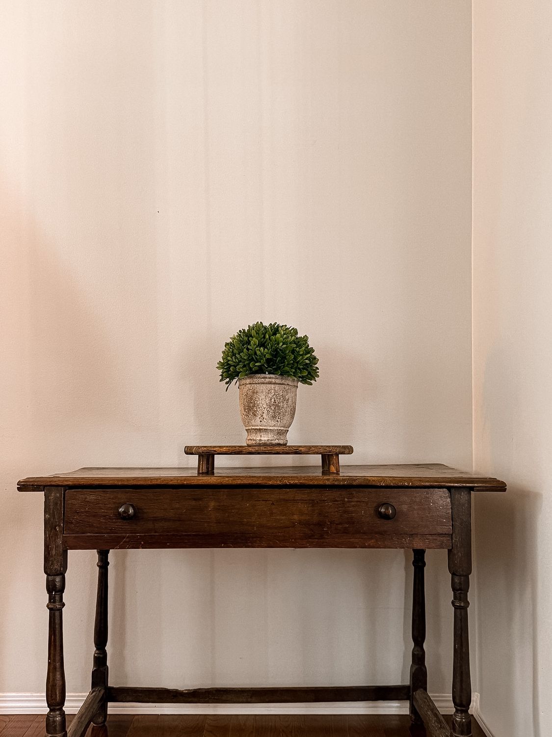 Boxwood in Cement Pot | 11"