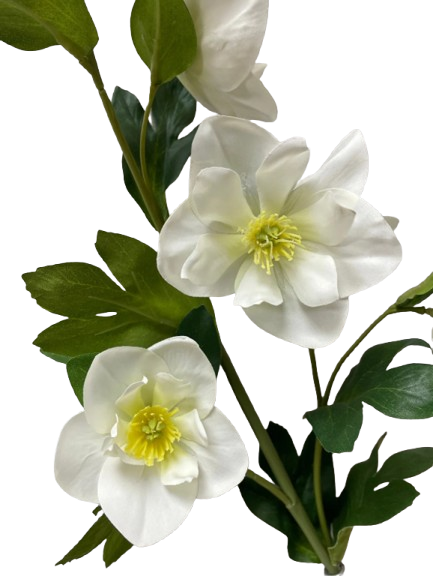 Real Touch White Helleboes Spray | 32"