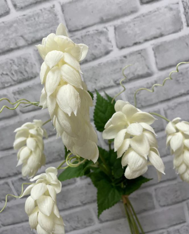 Real Touch White Hops Bundle | 25.5