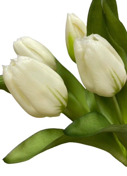 Real Touch White Formosa Tulips | 12"