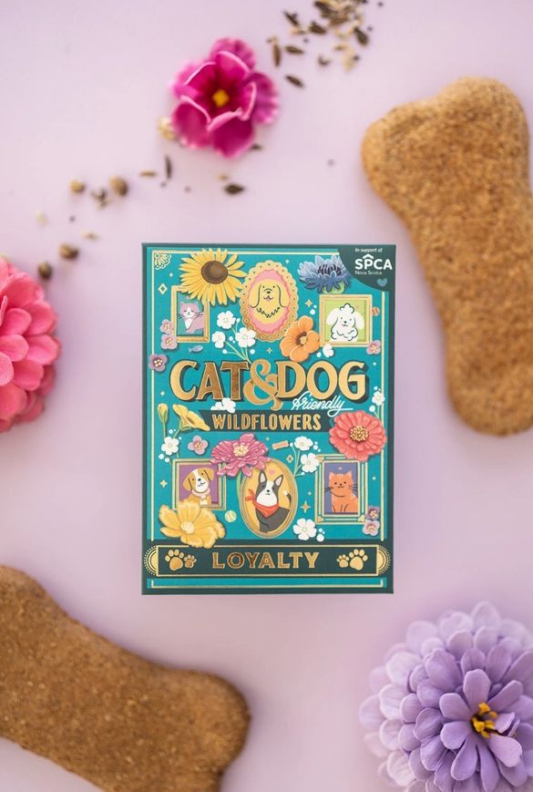 Cat &amp; Dog Friendly Wildflowers | Card &amp; Seeds