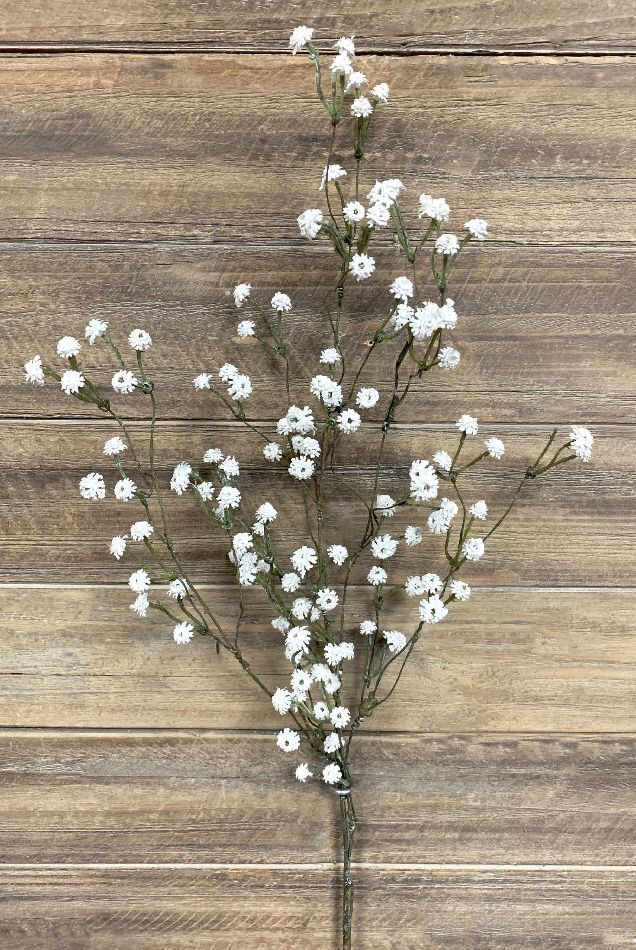 White Baby's Breath | 35"