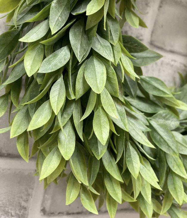 Ruscus Wreath | 12"